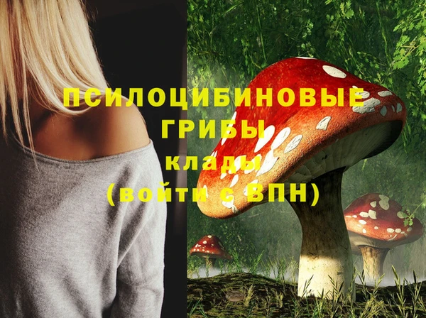 СК Алзамай
