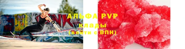 СК Алзамай