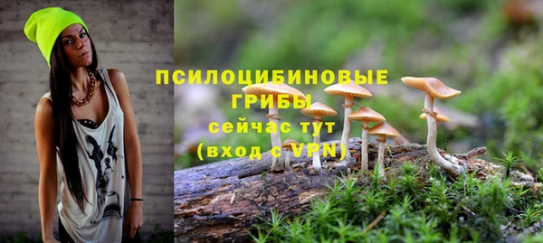 СК Алзамай
