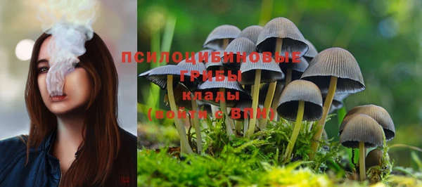 СК Алзамай