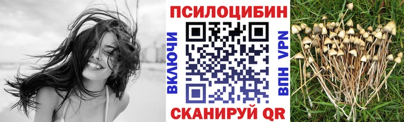 мориарти телеграм  Топки  Псилоцибиновые грибы Psilocybe 